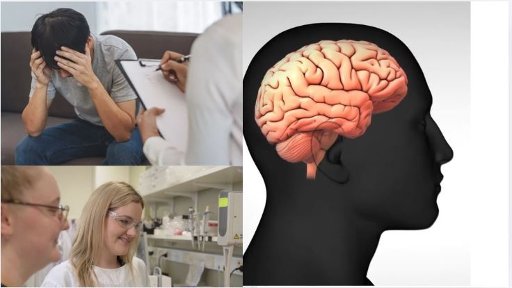 Mental illness global concern, the society homework